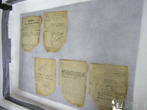 Book and Document Leafcaster